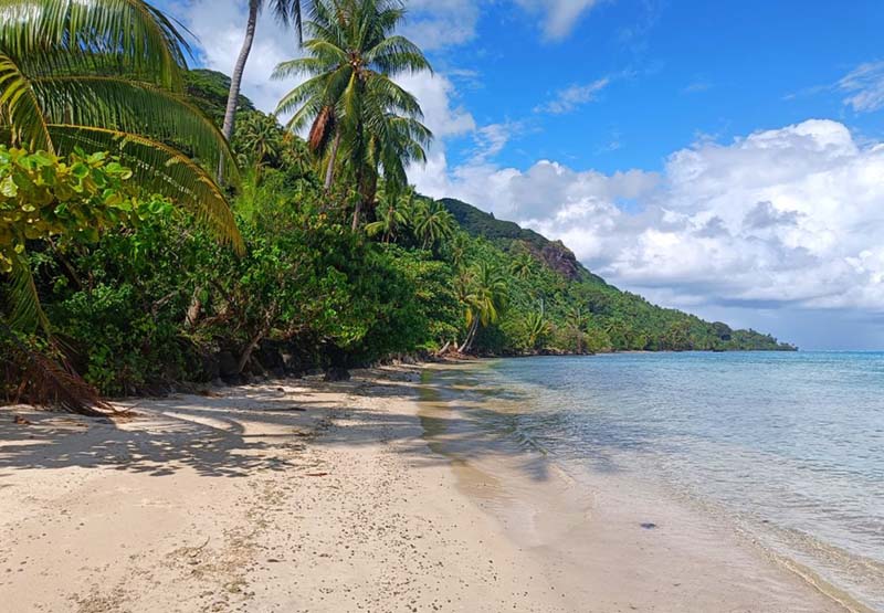 une plage de polynésie française
