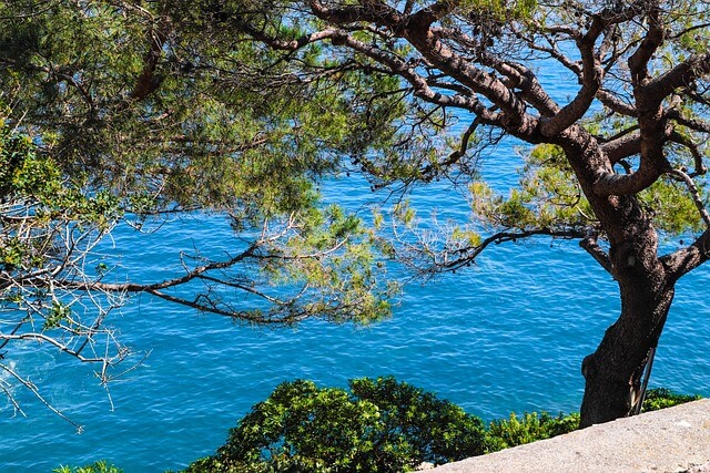 Monaco et la cote d'azur en Catamaran avec Secrets d'Escales